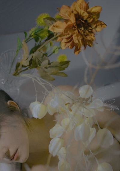 国产女同对白清晰在线播放_1080P免费在线观看