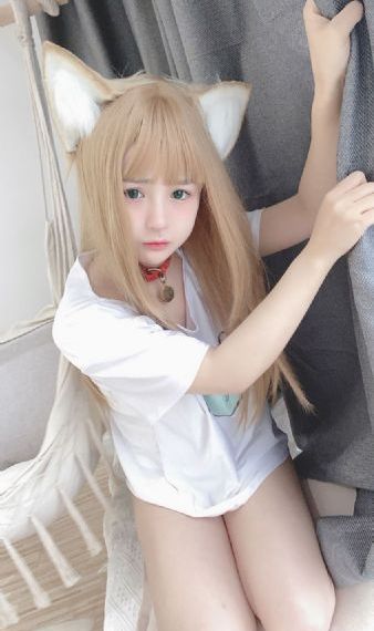 日本黄区免费视频观看_高清电视剧观看